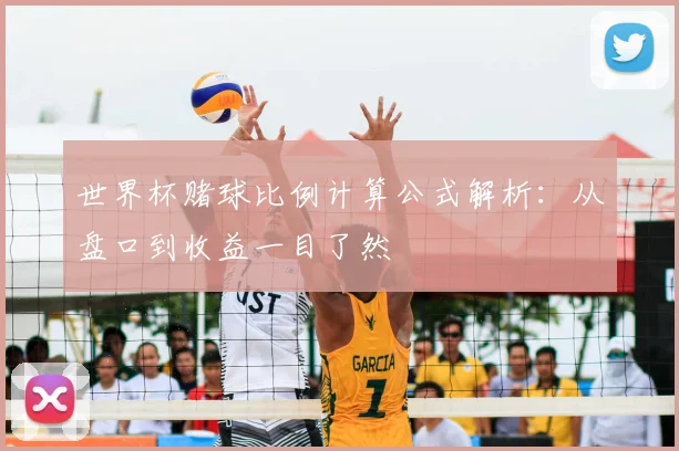 世界杯赌球比例计算公式解析:从盘口到收益一目了然