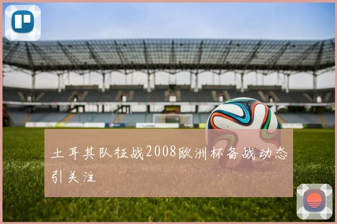 土耳其队征战2008欧洲杯备战动态引关注