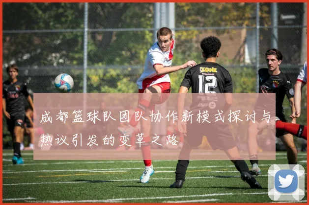 成都篮球队团队协作新模式探讨与热议引发的变革之路