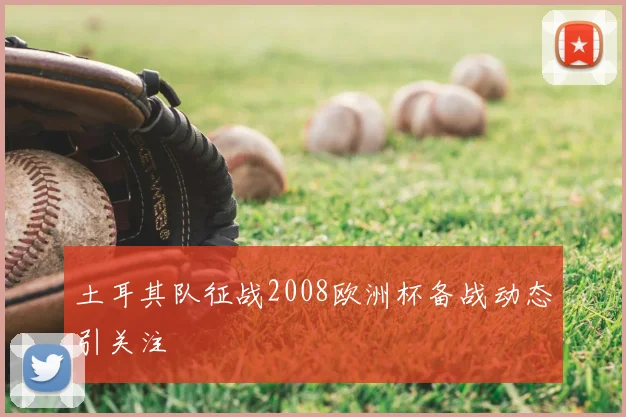 土耳其队征战2008欧洲杯备战动态引关注