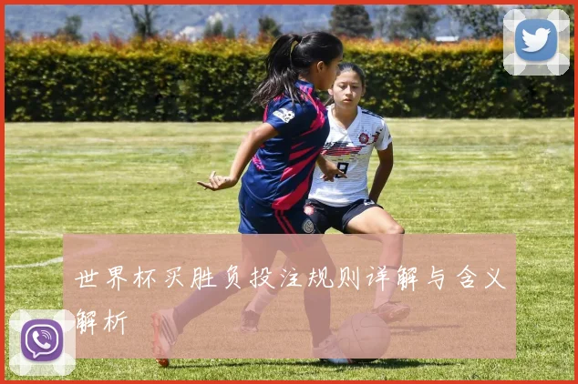 世界杯买胜负投注规则详解与含义解析
