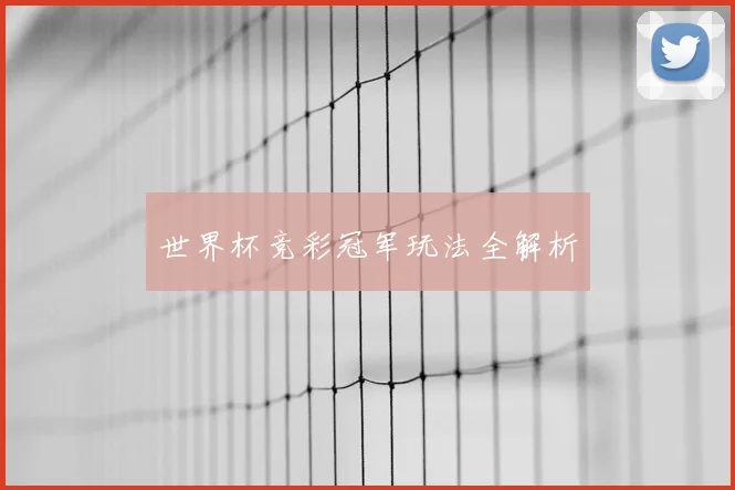 世界杯竞彩冠军玩法全解析