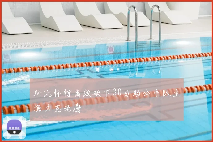科比怀特高效砍下30分助公牛队主场力克老鹰