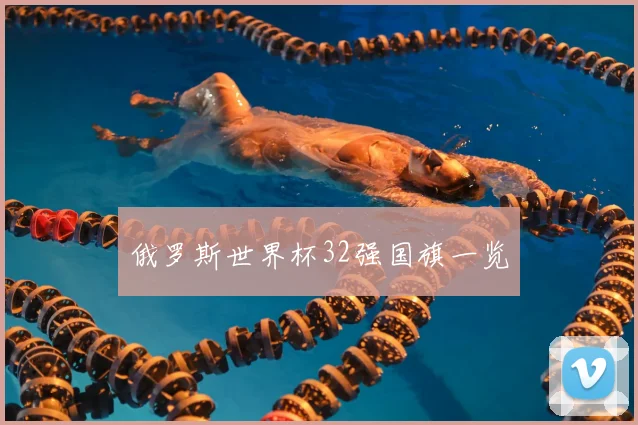 俄罗斯世界杯32强国旗一览