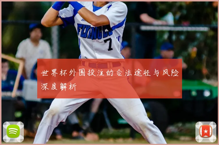世界杯外围投注的合法途径与风险深度解析