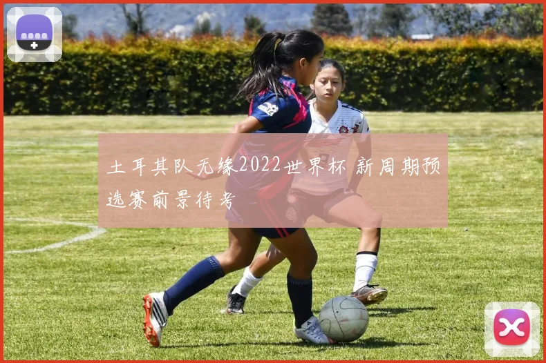 土耳其队无缘2022世界杯 新周期预选赛前景待考