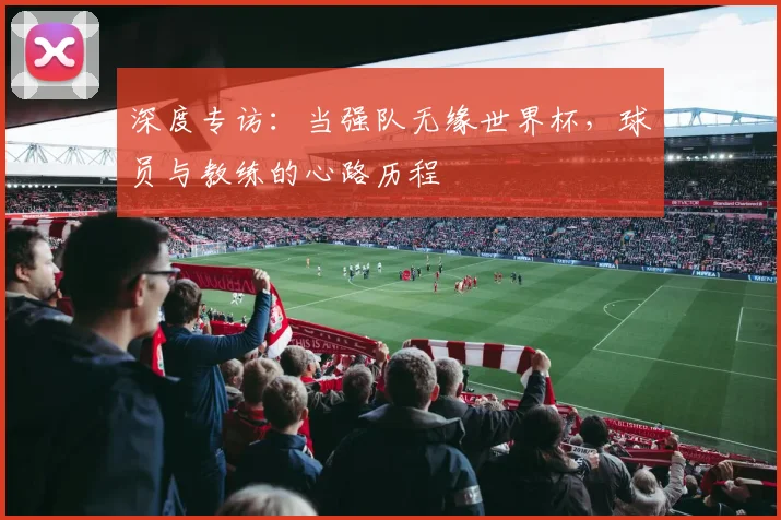 深度专访：当强队无缘世界杯，球员与教练的心路历程